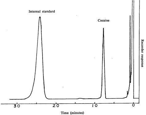 gas analysis on gc|gas chromatography output chart.